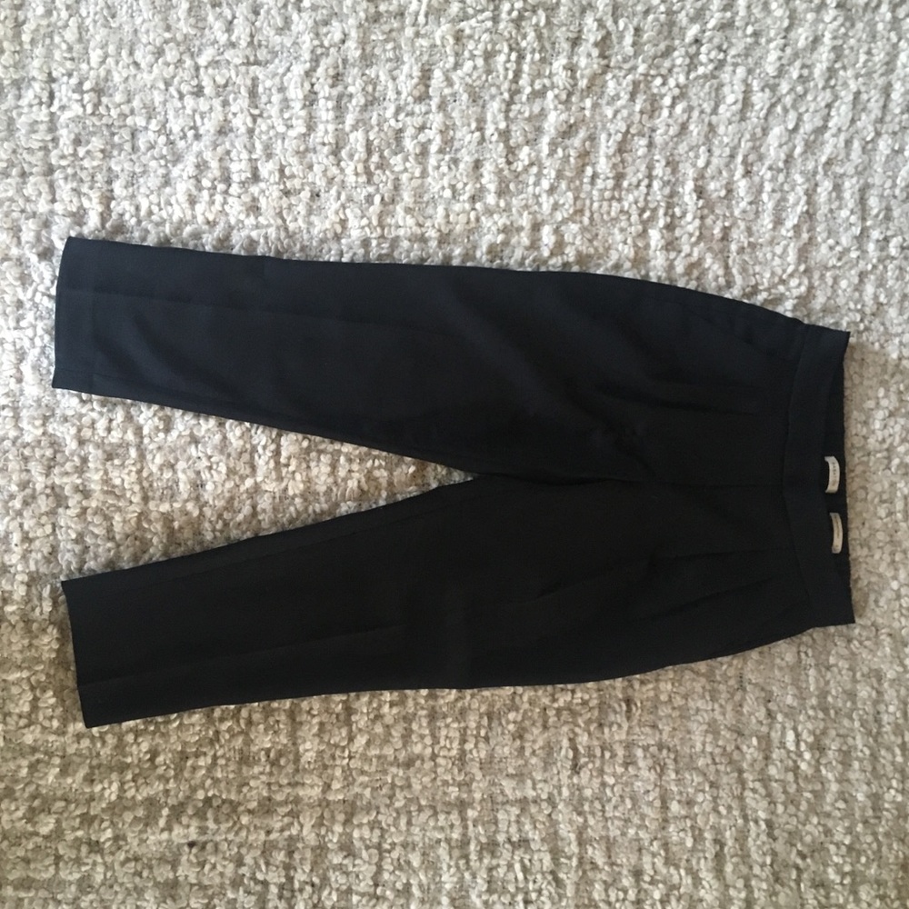 Aritzia Babaton Cohen Pant Terado - Picture 5 of 6